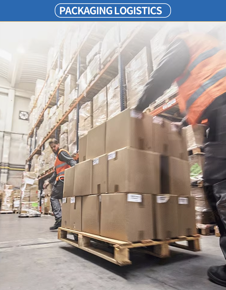 Lanxin Complete Cylinder Head Assembly with Valves & Springs for Yanmar 3TNV88 3TNV88-B Engine